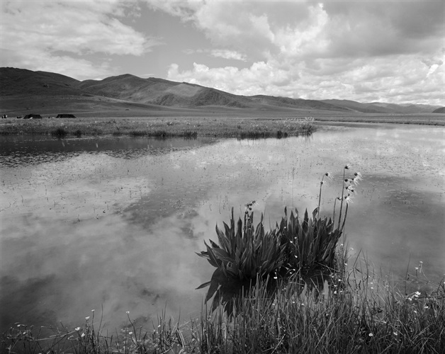 Summer in the Ruoergai steppe