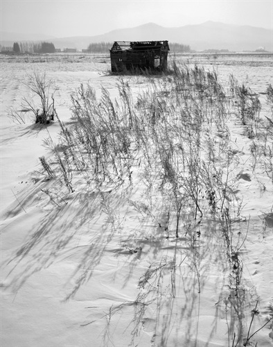 The winter of abandoned houses